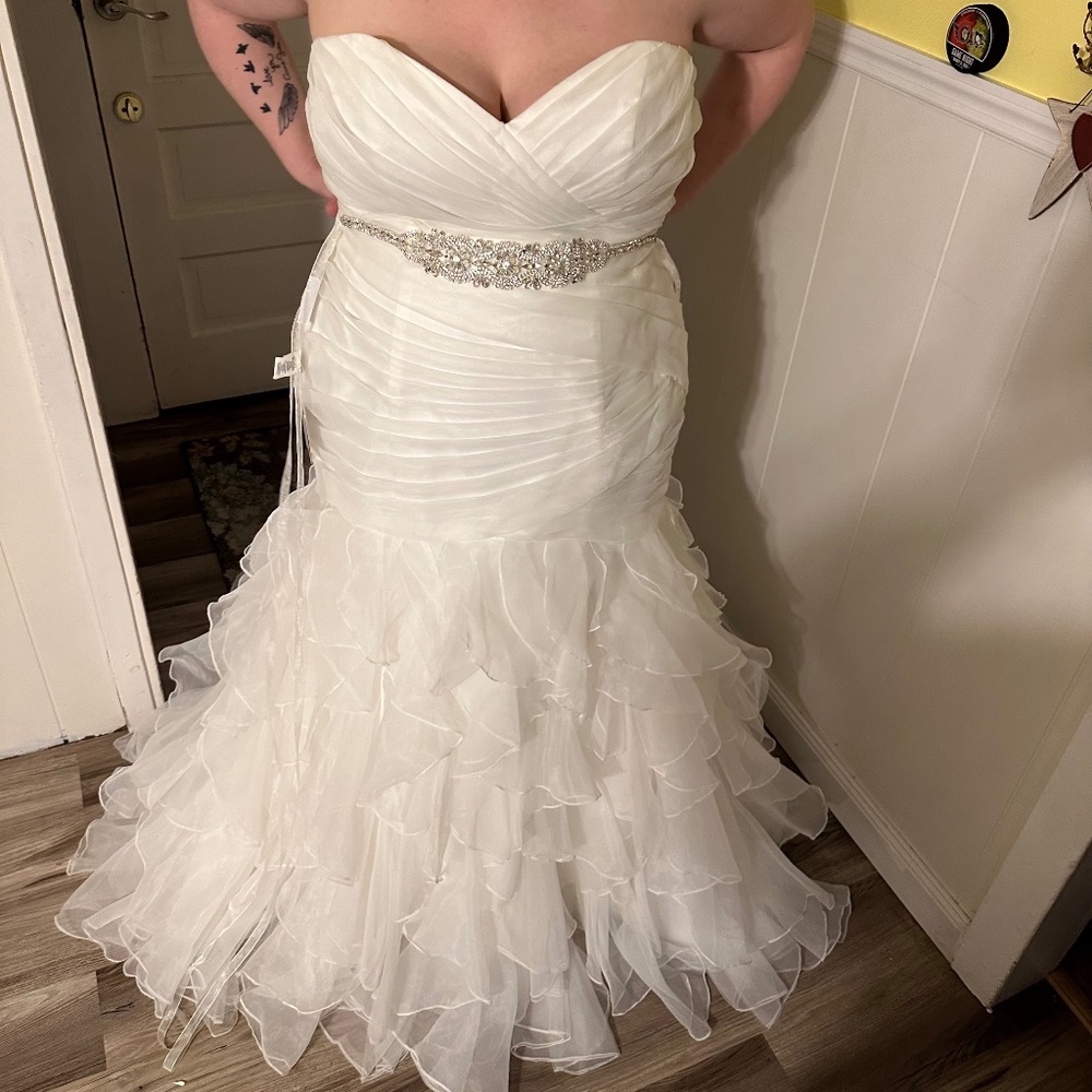 David’s Bridal Wedding gown